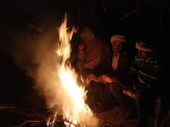 In Pics: बहुत परिश्रम से आपका पेट भरता है किसान, आइए तस्वीरों में देखते हैं कि कितनी मेहनत से सजती है आपके खाने की थाली