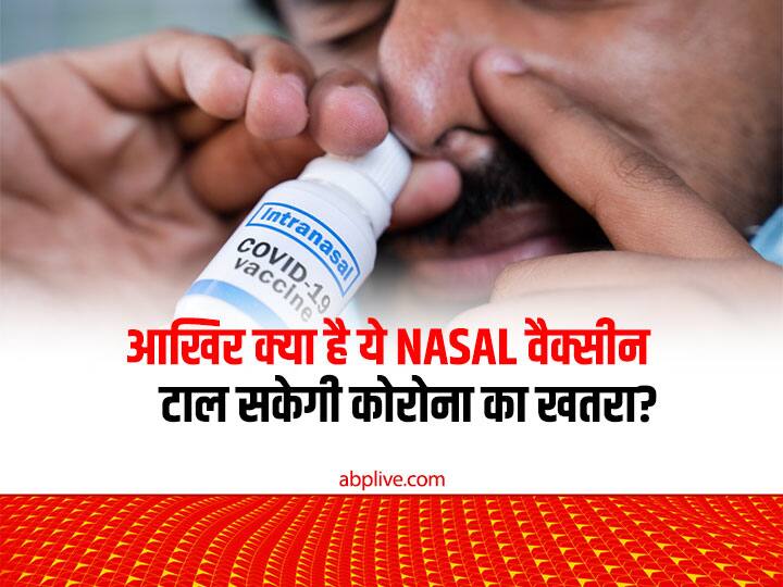 COVID 19 Nasal vaccine how it works and nasal booster vaccine fight against coronavirus क्या है Nasal वैक्सीन और कैसे करती है काम? इस बूस्टर डोज से किस हद तक टलेगा कोरोना का खतरा, यहां है पूरी डिटेल