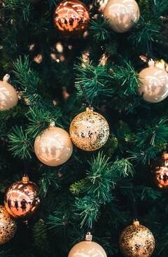 Christmas Day 2022: মেরি ক্রিসমাস, বড়দিনের বড় শুভেচ্ছাবার্তা