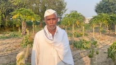 PHOTO: निवडणूकीत पराभव, विरोधकांनी उद्धवस्त केली शेतकऱ्याची पपईची बाग