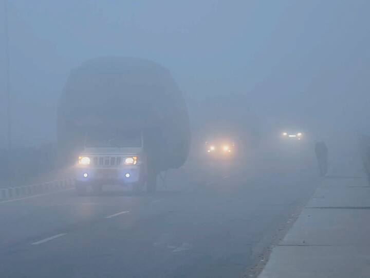Rajasthan Weather Update: राजस्थान के कई जिलों में ठंड और कोहरे का प्रकोप जारी, मौसम विभाग ने जताई ये संभावना Rajasthan Weather Update Outbreak of cold and fog continues in Rajasthan IMD expressed apprehension Rajasthan Weather Update: राजस्थान के कई जिलों में ठंड और कोहरे का प्रकोप जारी, मौसम विभाग ने जताई ये संभावना