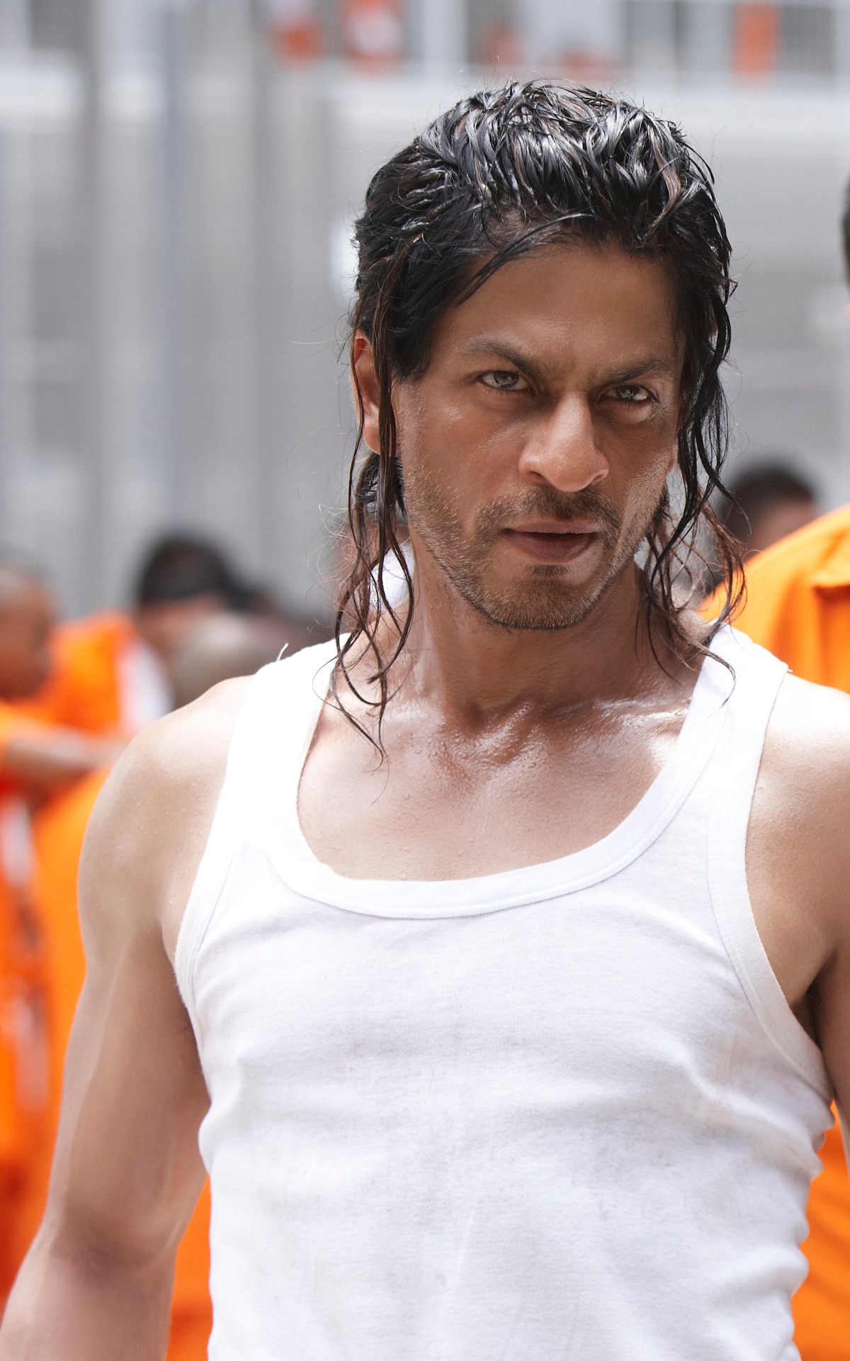 HD wallpaper: Shahrukh Khan Hairstyle In Don 2, Sharukh Khan, Movies,  Bollywood Movies | Wallpaper Flare