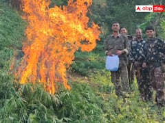 గంజాయి రవాణా కట్టడికి కార్యాచరణ ప్రణాళిక-2023 విడుదల చేసిన ఏపీ పోలీస్