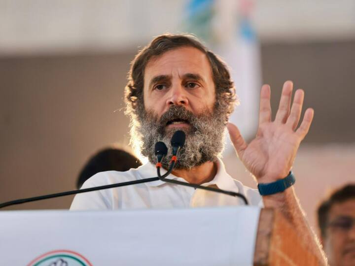 इस दौरान राहुल गांधी ने कहा,