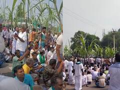 கரும்பில்லா பொங்கலா? முதல்வரின் அறிவிப்பால் கடுப்பான கரும்பு விவசாயிகள்