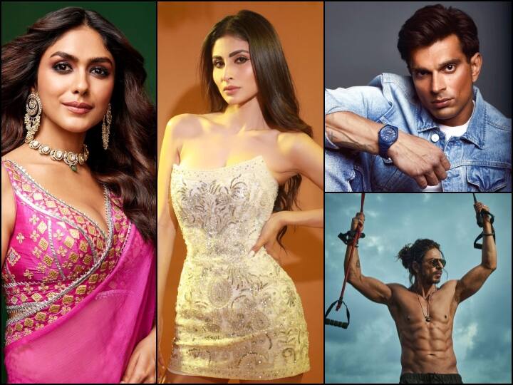 Bollywood Stars From TV: एक्टिंग की दुनिया में ऐसे कई महारथी हैं, जिन्होंने अपने करियर की शुरुआती टीवी से की थी और अब बॉलीवुड की दुनिया में भी अपने पैर जमा रहे हैं. आइए आपको दिखाते हैं वो लिस्ट.