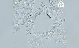 Amazing Video: ਇੱਕ ਵਿਅਕਤੀ ਨੇ ਬਰਫ ਦੇ ਵਿਚਕਾਰ ਆਪਣੇ ਪੈਰਾਂ ਨਾਲ ਬਣਾਈ ਖੂਬਸੂਰਤ ਕਲਾਕਾਰੀ, ਵੀਡੀਓ ਦੇਖ ਕੇ ਰਹਿ ਜਾਓਗੇ ਹੈਰਾਨ, ਦੇਖੋ ਵੀਡੀਓ