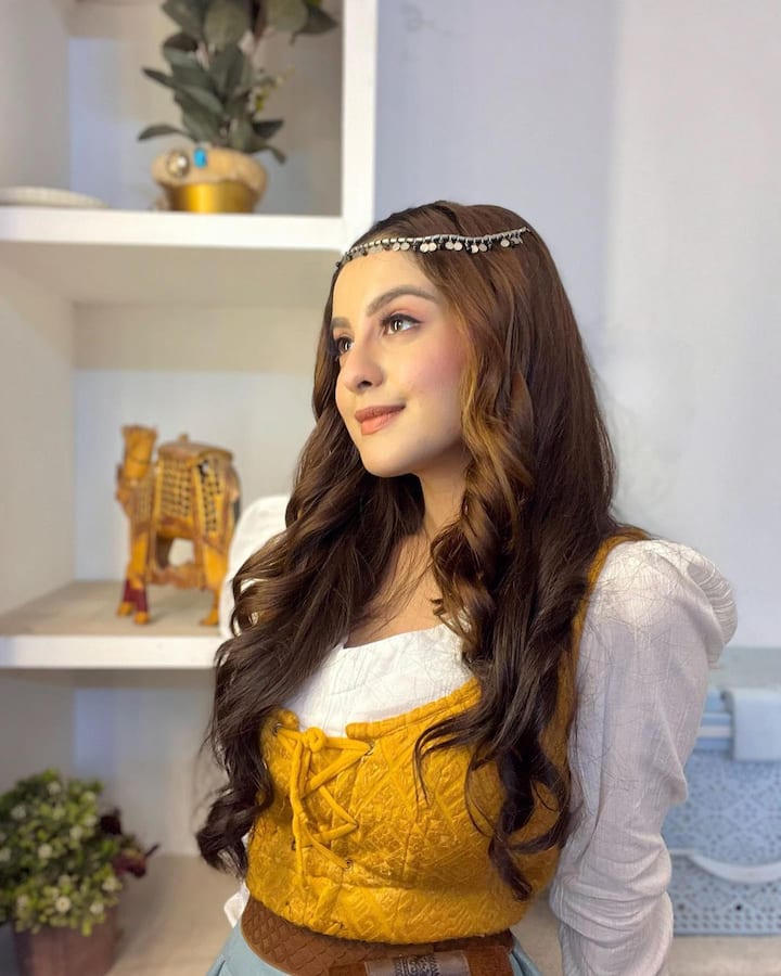 एक्ट्रेस इन दिनों टीवी शो ‘दास्तान ए काबुल’  में मेनलीड प्ले कर रही थीं. जानकारी के अनुसार तुनिशा ने शो के सेट पर ही फांसी लगा ली थी.