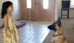 Viral Video: ਕੁੱਤੇ ਨਾਲ ਲੁਕ-ਛਿਪ ਕੇ ਖੇਡ ਰਹੀ ਸੀ ਬੱਚੀ, ਫਿਰ ਕੁੱਤੇ ਨੇ ਲੁਕ-ਛਿਪ ਕੇ ਜੋ ਕੀਤਾ ਉਹ ਦੇਖ ਕੇ ਤੁਸੀਂ ਹੋ ਜਾਓਗੇ ਹੈਰਾਨ