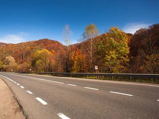 Road Safety: ਕੀ ਤੁਸੀਂ ਸੜਕ 'ਤੇ ਬਣੀ ਚਿੱਟੀ ਅਤੇ ਪੀਲੀ ਲਾਈਨ ਬਾਰੇ ਜਾਣਦੇ ਹੋ? ਪੜ੍ਹੋ ਇਹ ਖਾਸ ਖ਼ਬਰ