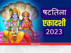 षटतिला एकादशी पर इन रंग की चीजों का दान करना माना गया है शुभ, होती है विष्णु भगवान की कृपा