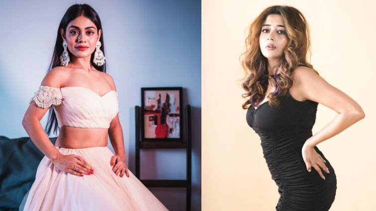 Bigg Boss 16: Sreejita De says Tina Datta tries to 'break families', ‘Khud ka ghar nahi basa paai’, know in details Bigg Boss 16: 'বিগ বস'-এর ঘরে প্রকাশ্যে কাদা ছোড়াছুড়ি দুই বাঙালি অভিনেত্রীর, উঠল বিস্ফোরক অভিযোগ