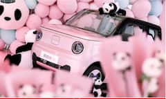 Tata Nano-র থেকেও ছোট ইভি লঞ্চ, পাবেন ১৫০কিমি রেঞ্জ