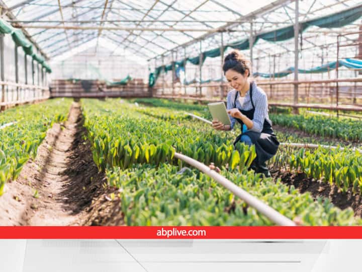 National Nursery portal is online Marketing Platform for Plants of