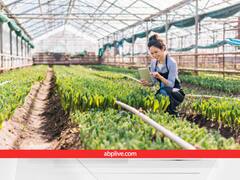 अगर नहीं मिल रहा किसी फूल, फल, सब्जी का पौधा तो यहां से ऑनलाइन ऑर्डर कर लें... ये है तरीका