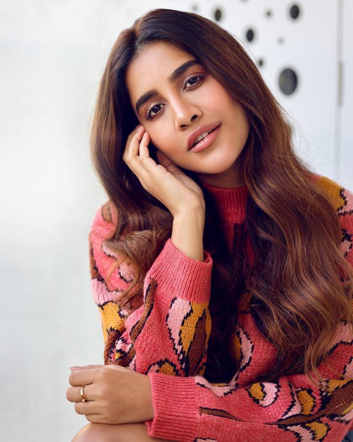 నితిన్ హీరోగా నటించిన మేస్ట్రో తర్వాత నభా మళ్లీ సినిమాల్లో కనిపించలేదు. Photo Credit: Nabha Natesh /Instagram
