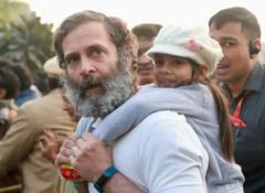 Bharat Jodo Yatra: 2800 ਕਿਲੋਮੀਟਰ ਦੀ ਦੂਰੀ ਤੈਅ ਕਰਕੇ ਦਿੱਲੀ ਪਹੁੰਚੀ ਭਾਰਤ ਜੋੜੋ ਯਾਤਰਾ, ਵੇਖੋ ਤਸਵੀਰਾਂ