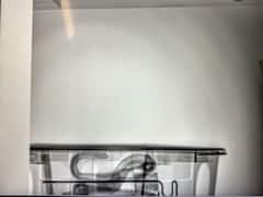 Snake Spotted Slithering In Basement Of Australia Airport, Police Share X-Ray Image: WATCH