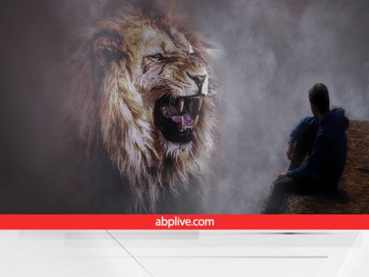 dream interpretation dreaming about a lion meaning sign of happiness in life Dream Interpretation: क्या आपने भी देखा है शेर का सपना? जीवन में खुशियां आने का है संकेत