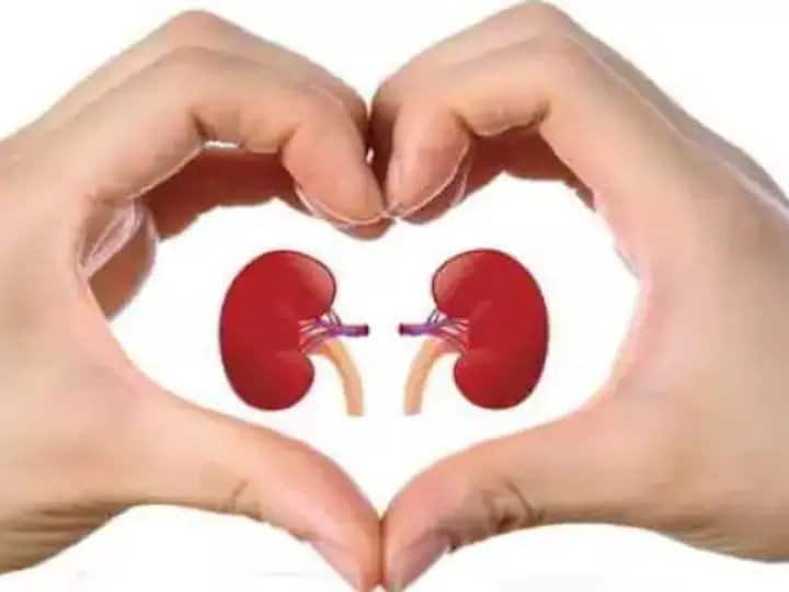 know who can donate kidney and What is its complete process किडनी ट्रांसप्लांट की नौबत कब आती है, किडनी कौन डोनेट कर सकता है, क्या है इसका पूरा प्रोसेस?जानिए सबकुछ