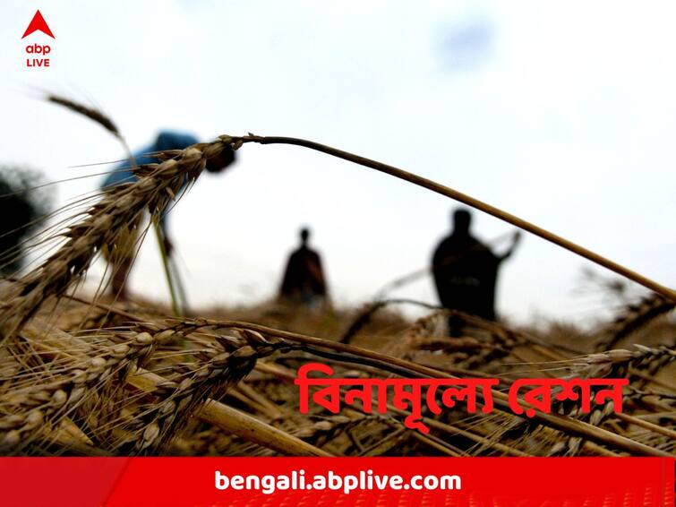 Cabinet Decision: 80 Crore People To Get Free Ration Under National Food Security Act For A Year know details Free Ration: আরও ১ বছর বিনামূল্যে রেশন, সুবিধা পাবেন ৮০ কোটিরও বেশি নাগরিক