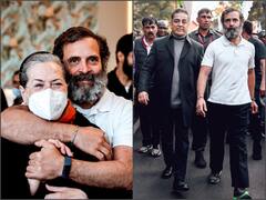 Bharat Jodo Yatra: நடைபயணத்தில் விலங்குகளும் பங்கேற்றன.. வன்முறை என்பதே கிடையாது..ஆனால் பாஜக.. : ராகுல் காந்தி பேச்சு..