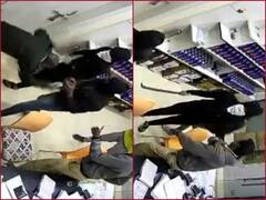 Maharashtra Robbers: பெட்ரோல் நிலைய ஊழியர்களை கத்தியால் தாக்கி பணம் பறித்த மர்ம கும்பல்...அதிர்ச்சிக்குள்ளாக்கும் சிசிடிவி காட்சிகள்