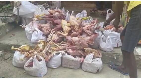 Nellore Rotten Chicken : అప్రమత్తంగా ఉండాలంటున్న ఫుడ్ సేఫ్టీ అధికారులు | DNN | ABP Desam