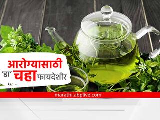 Best Tea : तुम्ही चहा पिता का? मग आरोग्यासाठी 'हा' चहा आहे फायदेशीर