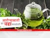 Best Tea : तुम्ही चहा पिता का? मग आरोग्यासाठी 'हा' चहा आहे फायदेशीर