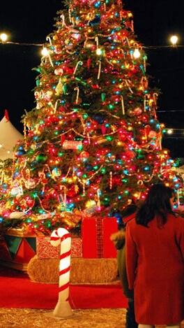 ક્રિસમસ ટ્રીનો ઇતિહાસ અને મહત્વ શું છે