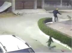 Ludhiana News: ਲੁਧਿਆਣਾ 'ਚ ਕੁੱਤਿਆਂ 'ਤੇ ਫਾਇਰਿੰਗ, ਪੁਲਿਸ ਕੋਲ ਪਹੁੰਚੀ ਸ਼ਿਕਾਇਤ