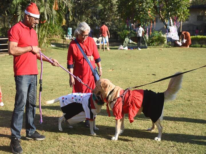 Christmas Celebration : कोरोना महामारीनंतर जगभरात नाताळचा उत्सव आनंदात साजरा केला जातोय.