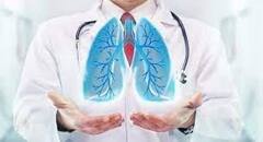 Healthy Lungs Tips : ਫੇਫੜਿਆਂ ਦੀ ਤੰਦਰੁਸਤੀ ਲਈ ਖਾਓ ਇਹ ਫੂਡ, ਰਹੋਗੇ ਸਿਹਤਮੰਦ