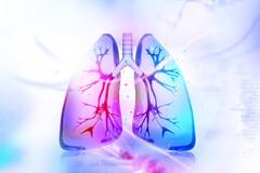 Healthy Lungs Tips : ਫੇਫੜਿਆਂ ਦੀ ਤੰਦਰੁਸਤੀ ਲਈ ਖਾਓ ਇਹ ਫੂਡ, ਰਹੋਗੇ ਸਿਹਤਮੰਦ