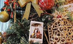 Bollywood Christmas Celebration: ডেকে নিলেন ছোট বোনকেও, পাজামাতেই বড়দিন উদযাপন ‘ভিকট্রিনা’র