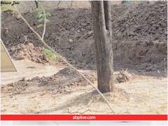 तस्वीर में छिपे तेंदुए को ढूंढना है टेढ़ी खीर, क्या 10 सेकेंड में खोज पाएंगे आप