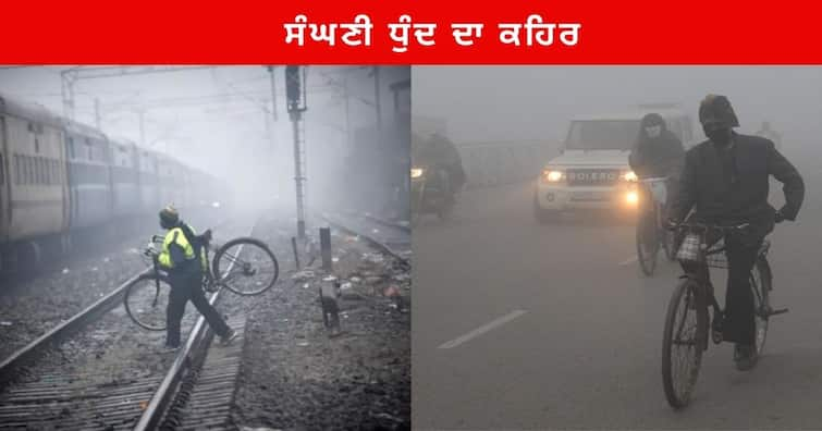 Weather Update of North india including delhi -NCR Winter Fog Condition with Cold Weather News : ਉੱਤਰੀ ਭਾਰਤ 'ਚ ਅਗਲੇ ਤਿੰਨ ਦਿਨਾਂ ਤੱਕ ਜਾਰੀ ਰਹਿ ਸਕਦੀ ਸੀਤ ਲਹਿਰ , ਮੌਸਮ ਵਿਭਾਗ ਨੇ ਦਿੱਤੀ ਇਹ ਚੇਤਾਵਨੀ