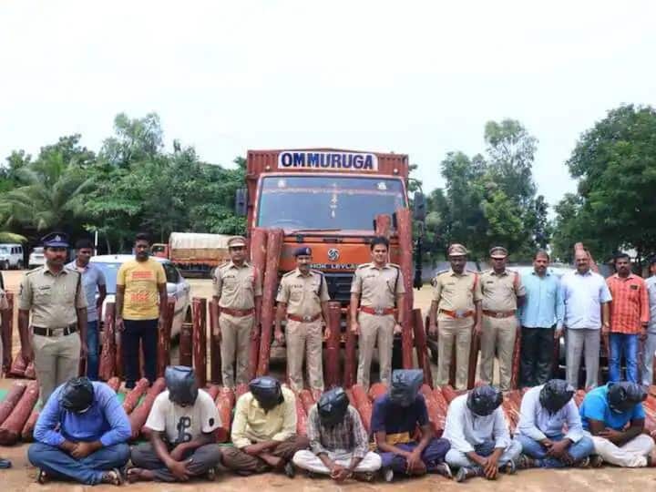 Andhra Pradesh: 73 Smugglers Held In 2022 For Smuggling Red Sanders Worth Rs 50-Cr: Report Andhra Pradesh: 73 Smugglers Held In 2022 For Smuggling Red Sanders Worth Rs 50-Cr: Report