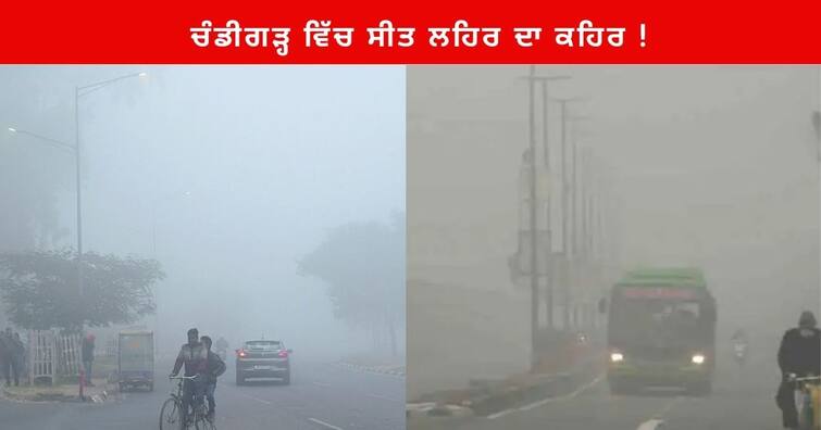 Chandigarh weather update :  IMD According Rain on December 25 and 26 and dense fog on December 27 and 28 in Chandigarh Chandigarh News: ਚੰਡੀਗੜ੍ਹ ਵਿੱਚ ਸੀਤ ਲਹਿਰ ਦਾ ਕਹਿਰ ! 25-26 ਦਸੰਬਰ ਨੂੰ ਹਲਕੀ ਬੱਦਲਵਾਈ, 27-28 ਨੂੰ ਸੰਘਣੀ ਧੁੰਦ ਪੈਣ ਦੇ ਆਸਾਰ