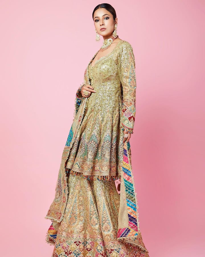 शहनाजने आपल्या क्यूटनेसने लोकांना इतके वेड लावले की ती दररोज कोणत्या ना कोणत्या कारणाने चर्चेत असते.  (फोटो सौजन्य :shehnaazgill/इंस्टाग्राम )