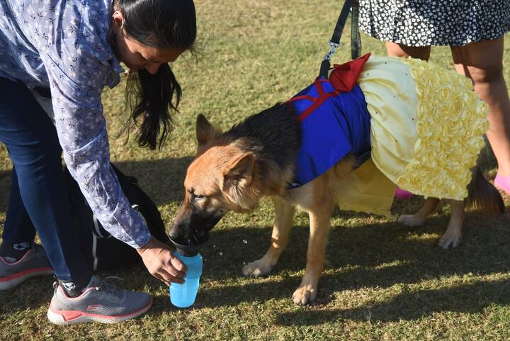नाताळ सण म्हटला की पार्टी, नवीन कपडे आणि नुसता आनंद डोळ्यांसमोर येतो.