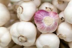 Health Benefits: இதய ஆரோக்கியத்திற்க்கு உதவும் பூண்டின் நன்மைகள்!
