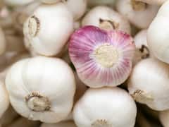 Health Benefits: இதய ஆரோக்கியத்திற்க்கு உதவும் பூண்டின் நன்மைகள்!