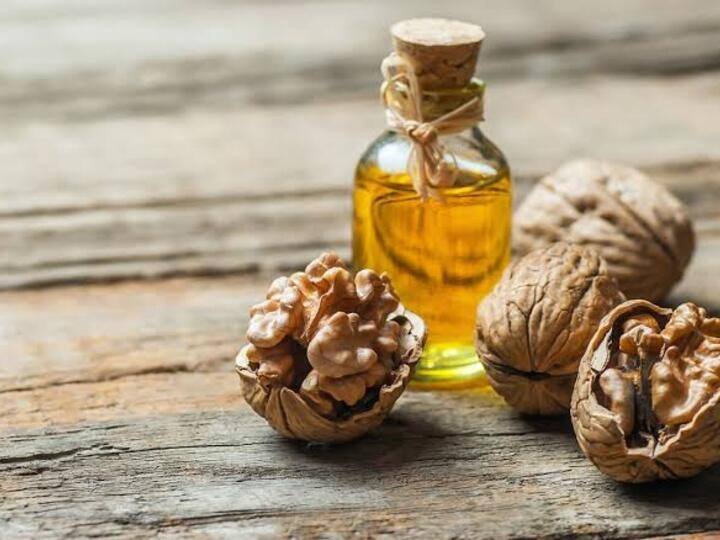 Prepare walnut oil at home Make skin and hair beautiful घर पर ही आसानी से तैयार करें अखरोट का तेल, स्किन और इस चीज के लिए काफी है फायदेमंद