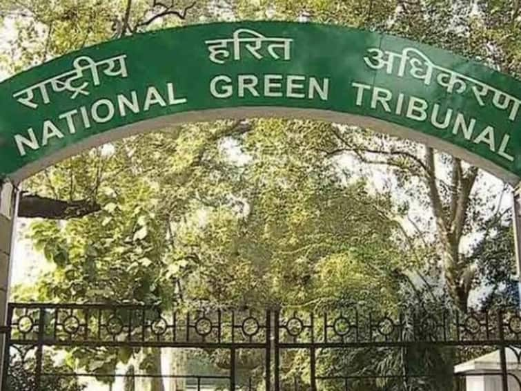 NGT Summons UP's Forest Conservator Over Illegal Cutting Of 980 Trees In Greater Noida