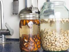 सूखे या फिर भिगोकर... किस तरह ड्राईफ्रूट्स खाना होता है ज्यादा बेहतर? जानिए एक्सपर्ट क्या देते हैं इसका जवाब