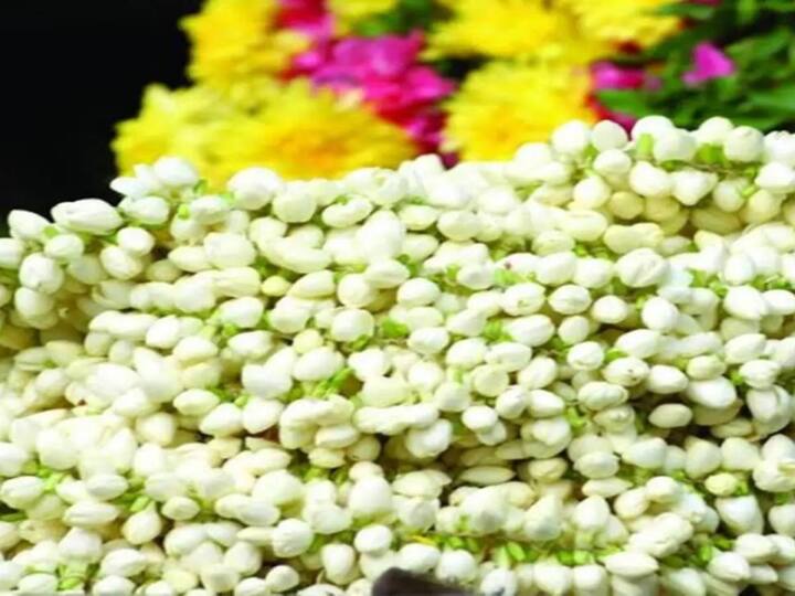 மல்லிகை பூக்களை நிழலில் உலர்த்தி அதனை பொடி செய்து எடுத்துக் கொள்ள வேண்டும்