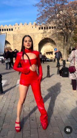 ਪਿੰਕ ਆਊਟਫਿਟ 'ਚ ਗਜ਼ਬ ਅਦਾਏ ਬਿਖੇਰਦੀ ਦਿਖੀ ਉਰਫੀ ਜਾਵੇਦ