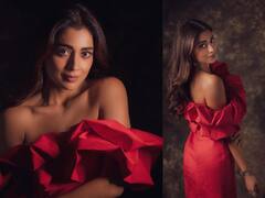 Shriya Saran: ஜிங்கிள் பெல்ஸ் ஜிங்கிள் பெல்ஸ்...நடிகை ஸ்ரேயாவின் கிறிஸ்துமஸ் போட்டோஷூட் !